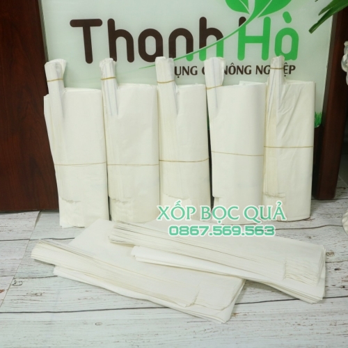 Bán túi bọc trái cây Thanh Hà giá rẻ chất lượng kích thước 20x30cm