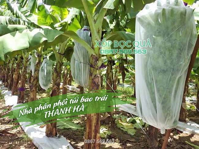 Được rất đông nhà vườn trên cả nước sử dụng