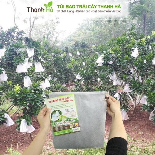 Tìm đại lý cung cấp bao bọc trái cây Thanh Hà chính hãng kích thước 25x30cm