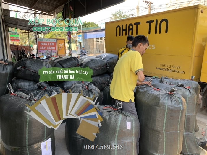 Công ty giao hàng sỉ, lẻ túi bao trái trên toàn quốc