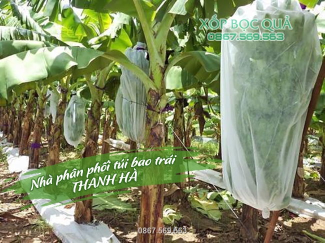 Được đông đảo bà con trên cả nước tin tưởng sử dụng