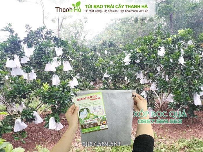 Túi bao trái Thanh Hà được nhiều nhà vườn trồng bưởi tin tưởng sử dụng