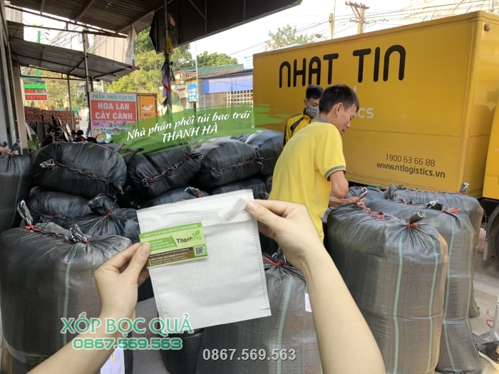 Công ty chuyên xuất các đơn hàng lớn túi bao trái trên toàn quốc