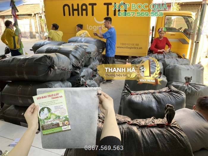 Cty xuất buôn túi vải bao trái Thanh Hà với giá cả cạnh tranh nhất thị trường