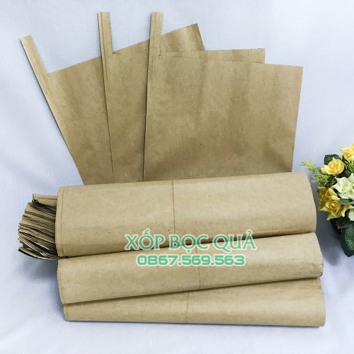 Túi bọc xoài đài loan thương hiệu Thanh Hà chất lượng cao kích thước 20x30cm