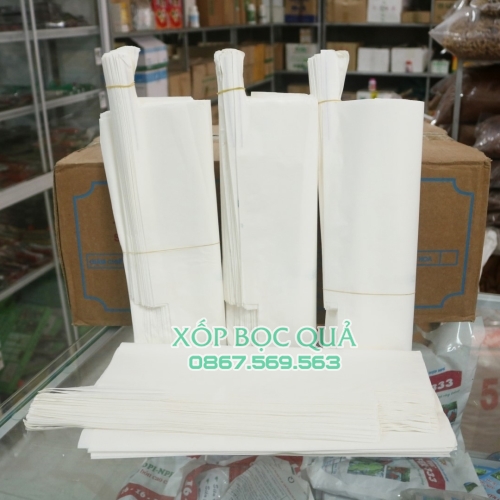 Túi bọc xoài Thanh Hà có độ bền cao kích thước 20x30cm