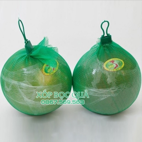 Túi lưới bọc hoa quả xanh 35cm - 1kg